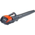 ΦΥΣΗΤΗΡΑΣ ΜΠΑΤΑΡΙΑΣ OLEO-MAC (5,0Ah) BVi 60 PREMIUM KIT GEP539510001
